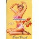 Pearl Frush & Harry Ekman Pin-Up Collection No. 7 (WK 12810)