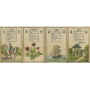 Lenormand Wüst Wahrsage-Karten (WK 15770)