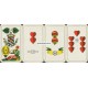 Ansbacher Bild VASS 1954 Feinste Bayerische Spielkarte Nr. 41 (WK 15107)