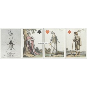 Transformationskarte Cotta 1805 (WK 16517)