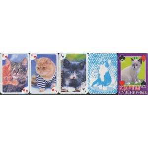 Katzen / Cats / Chats II Box Var. A (WK 11846)