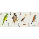 Birds Playing Cards (WK 15060)