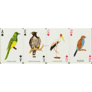 Birds Playing Cards (WK 15060)