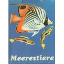 Quartett Meerestiere (WK 12935)