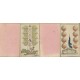 Siegeskarte / Victory Cards Baumgärtner 1815 (WK 17533)