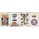 Prager Tarot (WK 17680)