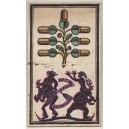 Entwurf Eichel 7 "Das zarte Geschlecht"