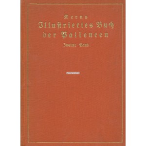 Kerns Illustriertes Buch der Patiencen Zweiter Band