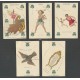 Charles Hodges’ Constellation cards - Stopforth (WK 17847)