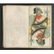 Tarock-Karte Taschenbuch - Köchly, 1819 (WK 17842)