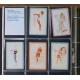 300 Erotische Rückseiten / Erotic backsides (WK 102053)