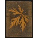 Spielkartenbox Holz / Wooden Box (WK 102048)