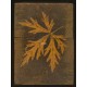 Spielkartenbox Holz / Wooden Box (WK 102048)