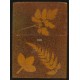 Spielkartenbox Holz / Wooden Box (WK 102048)