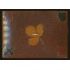 Spielkartenbox Holz / Wooden Box (WK 102048)