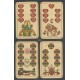 Tier Skat / Animal Skat (WK 17899)