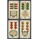 Deutsche Kriegs-Spielkarte Nr. 194 - 36 Karten / cards !!! (WK 17901)